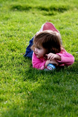 IMG_5642.jpg