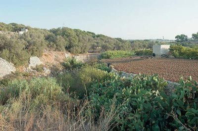 Typical farm