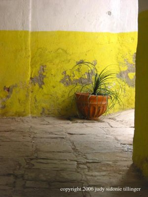 light study with yellow wall