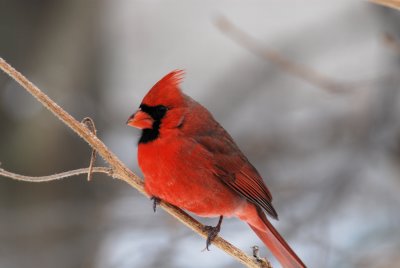 DSC_0123_2.JPG