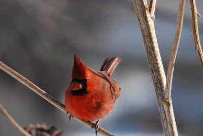 DSC_0145.JPG