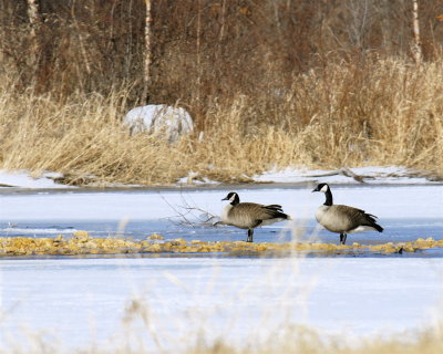 _DSC0204.JPG