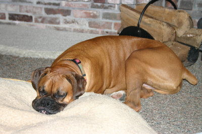 Sleeping - isn't it what vacations are all about?