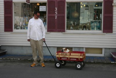 Old age at Provincetown