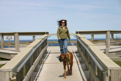 Cape Cod Lighthouse
