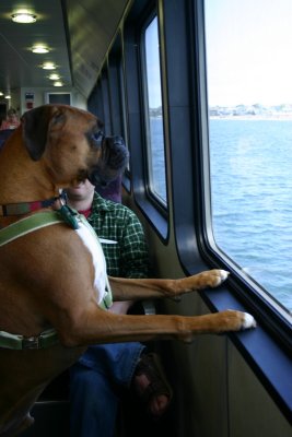 On our way to Nantucket
