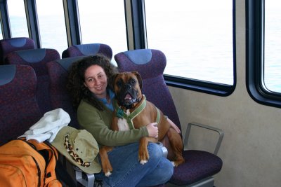 Lapdog
