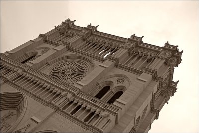 eos_20d_bw