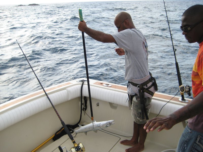 Yet another Barracuda