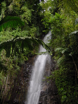 Darkview Falls