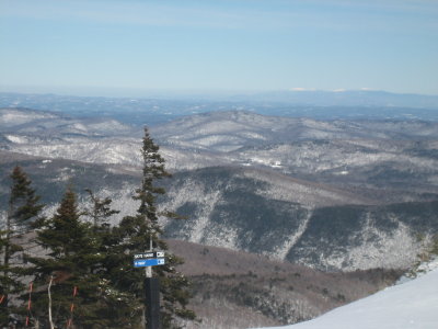 IMG_2355.JPG