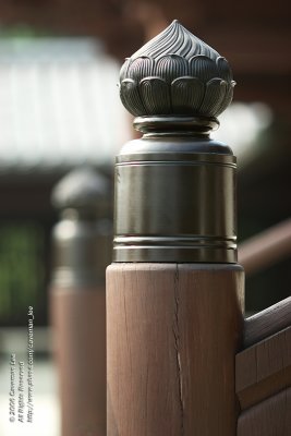 g6/64/508564/3/69150915.3pJQw1pE.jpg