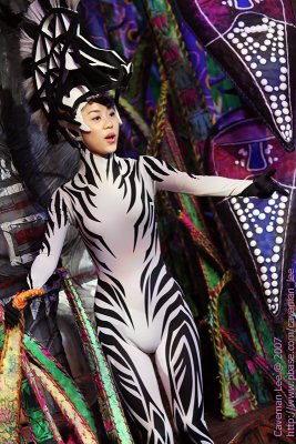 Zebra in Lion King Show