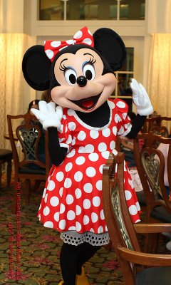 Hi Minnie