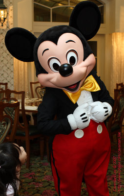Mickey's admirer