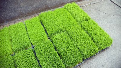 Grass For Sale