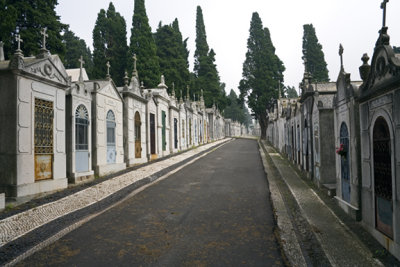 Cemetery #5582