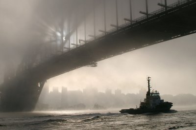 Sydney Fog 1