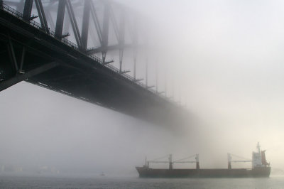 Sydney Fog 2