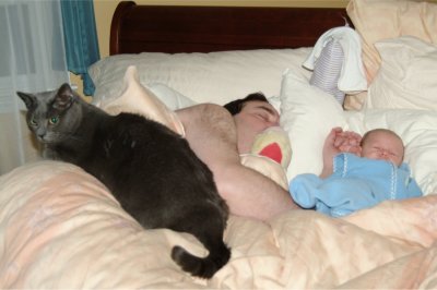 The Gang Nappin