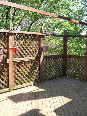Back Deck
