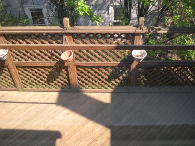 DSCN3397.JPG