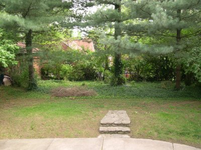 DSCN3424.JPG