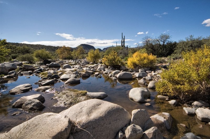 Oasis in the desert _DSC5500