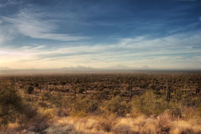Sonoran desert, sunset, with distant haze _DSC5823