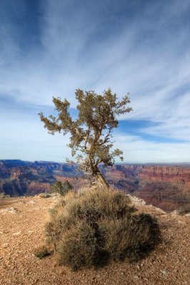 Life on the edge _DSC6422