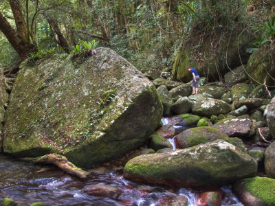 Really big rock, Frenchman Creek, near Babinda (DSCN0823)