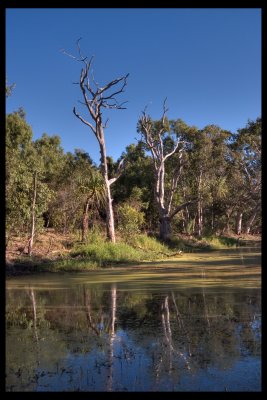 Trees and waterhole, Townsville town common 12 x 18 300 dpi from DNG R0010147