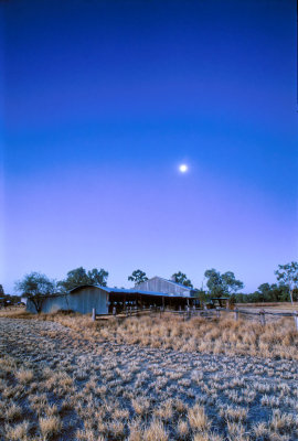 Moonrise, old shearing shed u001916