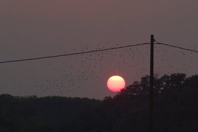 Storni al Tramonto