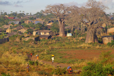 Baobab Village