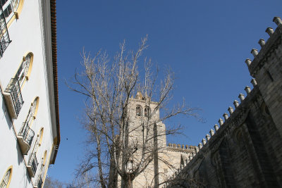 vora - Catedral