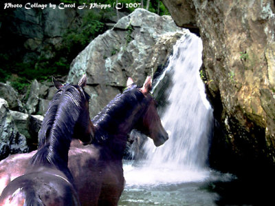 Heated Pursuit  ~ Two Horses and Waterfall!