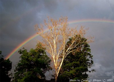 Rainbow covering Madison.