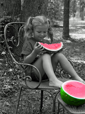 Focus on Watermelon!