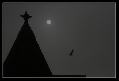 Mt. St.Michel