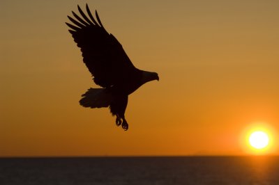 Sunset  6427
