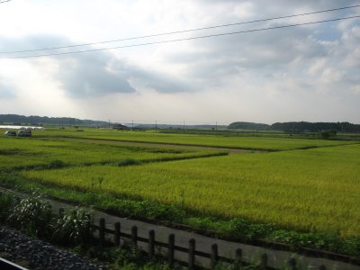 Japan is a strange mix of countryside and super-packed metropolis