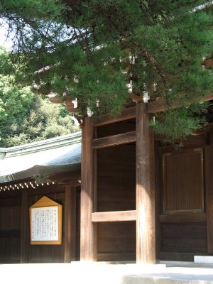 Cedars at the entrance fo the Meiji-jingu shrine