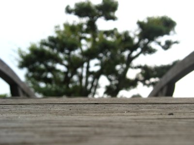 Into the sky