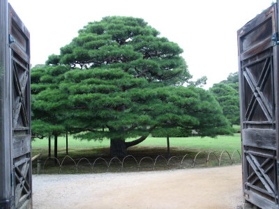 Entrance to the Imperial Palace in Kyoto