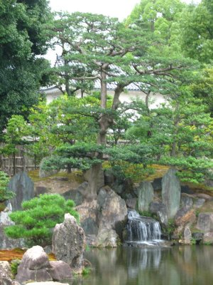 Japanese garden