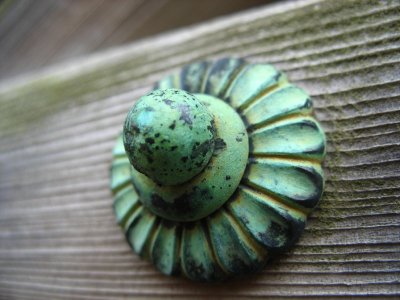 Door ornaments
