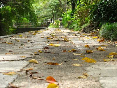 Philosopher's Path