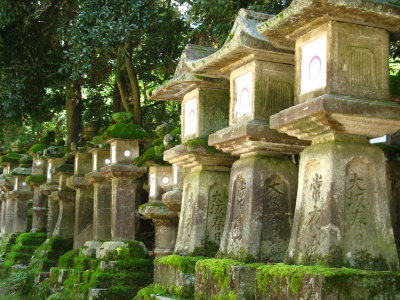 Stone lanterns line the pathways in the parks of Nara