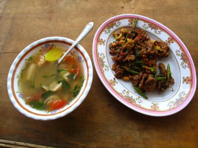 Hot and sour soup and beef stirfry